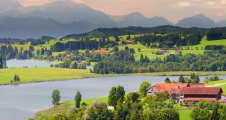 四部门印发&ldquo;十四五&rdquo;乡村绿化美化行动方案，全力推进人居环境整治提升